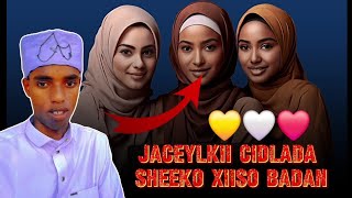 Jaceylkii Cidlada Sheeko Xiiso badan  Like shayr SUBSCRIBE [upl. by Nahtaoj]