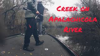 BASS FISHING APALACHICOLA RIVER DELTA 1252021 [upl. by Enyrat966]