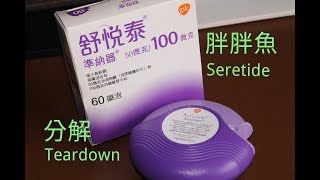 吸入器裡面有什麼 一起拆開舒悅泰胖胖魚 Seretide accuhaler teardown [upl. by Urata153]