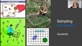 Ecological field sampling [upl. by Jews418]