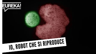 Xenobot i primi robot viventi che possono riprodursi [upl. by Atronna]