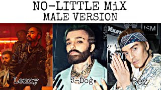 NoLittle Mix Male Version [upl. by Amikay555]