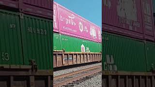 Pink Ribbon Cause Container on 28Rnorfolksouthern railfanusa [upl. by Eussoj]