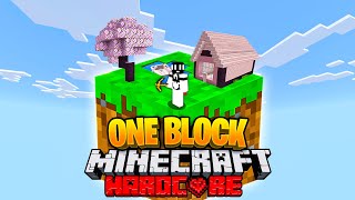 I Survived 100 Days on ONE BLOCK SKYBLOCK in Hardcore Minecraft [upl. by Oilerua]