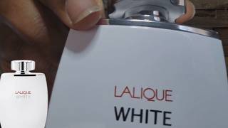 The Family of Encre Noire Lalique White Review [upl. by Willey]