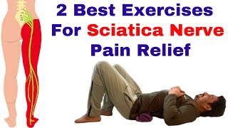 2 Best Exercises For Sciatica Nerve Pain Relief  Slip Disc Pain Lower back Leg Pain Treatment [upl. by Eioj]