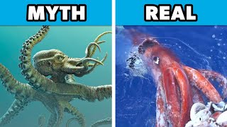 Top 10 Historical Myths That Turned Out to Be True [upl. by Sucramrej]