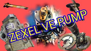 Zexel Ve Pump Repair Manual  CAT Skid Steer Loader 246D  Zexel Injection Pump Rebuild [upl. by Enerual358]