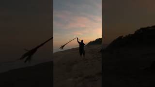 Playing with Bullwhip kelp [upl. by Yleoj]