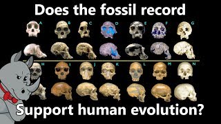 Some Fossils Were Reclassified Therefore Evolution is Wrong [upl. by Rabush944]