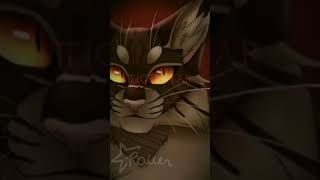 REPOST BrambleStar and TigerStar Shorts WarriorCats Warriors WarriorCatsEdit Edit Books [upl. by Wareing]