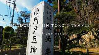 門戸厄神 東光寺（Mondo Yakujin Tokoji Temple）「兵庫県」 [upl. by Greff]