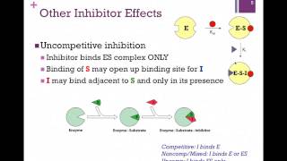 050Other Reversible Inhibitors [upl. by Seidel]