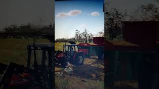 Rożucanie obornika rolnik mst farmingsimulator22 megakoliz [upl. by Opal]