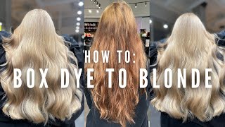 Hair Disaster Transforming Box dye to Blonde in one appointment with no breakage  tutorial [upl. by Yerfoeg]