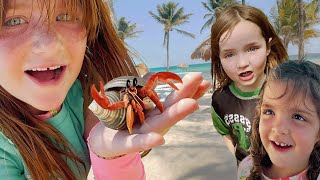 WE FOUND HERMiT CRABS Beach Animals Sand Castles and Playing in the Pool with Adley Niko amp Navey [upl. by Omissam]