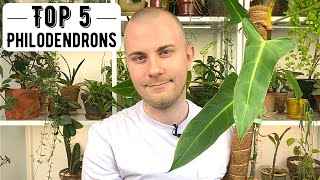 Top 5 Philodendrons [upl. by Retxed]