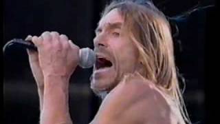 Iggy Pop with Whitey Kirst Death Is Certain [upl. by Llewellyn]