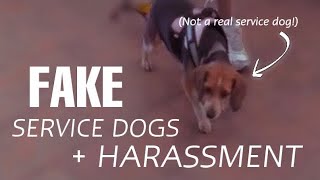 FAKE SERVICE DOGS  HARASSMENT [upl. by Alemat222]