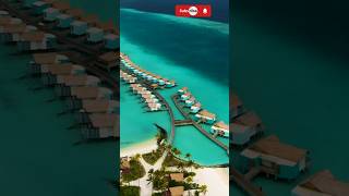 Maldives  INCREDIBLE maldives  Amazing places to visit in Maldives shorts trending [upl. by Zachariah]