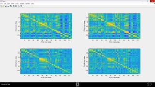 E7  Brain fingerprinting using Functional Connectivity  Basics of MATLAB for MRIfMRI [upl. by Noma]