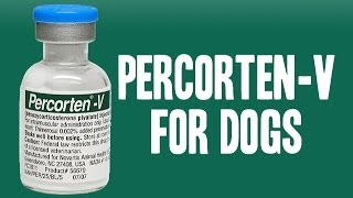 PercortenV for Dogs Addisons Disease [upl. by Nauqed]