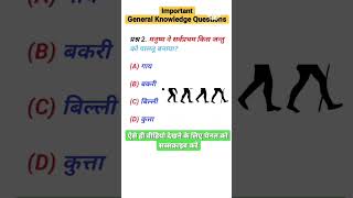 General knowledge questions youtubeshorts best knowledgefacts shorts subscribe [upl. by Bekaj]