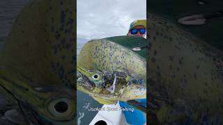 Offshore Fishing in Quepos Costa Rica [upl. by Aianat874]