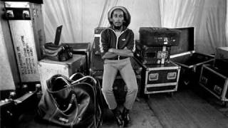 BMarley amp The Wailers Punky Reggae Party [upl. by Alor]