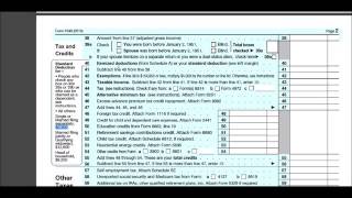 Form 1040 Overview [upl. by Kopple]