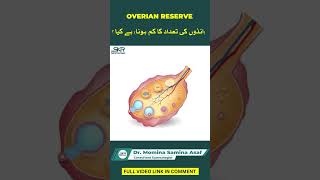 Andon Ki Tadad Main Kami Ovarian Reserve  Dr Momina Samina Asaf [upl. by Sarnoff106]