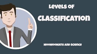 How to memorize the levels of classification [upl. by Fanny104]