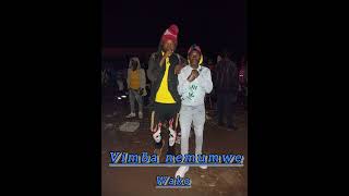 Fire T vimba nemumwe wako official Audio [upl. by Nwonknu]