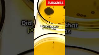 Penicillin From Mold Juice to Miracle Drug shorts facts factsvideo science [upl. by Dub]