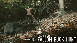 THE ALL BLACK  FALLOW BUCK HUNT [upl. by Fernandina]