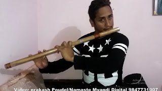 Basuri Ko Dhun By Dinesh Pun Myagdi [upl. by Boone]