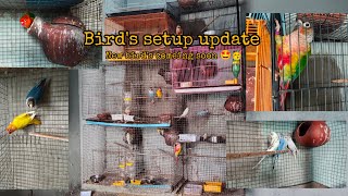 birds setup update amp New birds comeing soon 🤩 ssbirdslover [upl. by Aron]