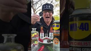 Guy eats hot peppers covered in hot sauce [upl. by Hurley]