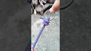 Very Simple but great Knot shorts youtubeshorts rope [upl. by Mckinney53]