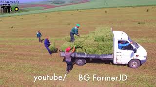 Drone View Loading square bales of alfalfa Товарене на Бали люцерна 1ви откос  Bulgaria Zadruga [upl. by Ambrosane]