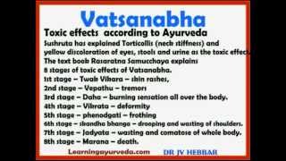 Vatsanabha  Benefits Purification Uses Toxic Effects Dose As Per Ayurveda [upl. by June446]