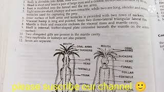 loligo classification habitat and comments zoology practical bsc1comments on loligo [upl. by Sillyrama203]