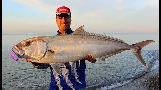 Kıyıdan Rekor Kuzu Avı  Huge Land Based Amberjack [upl. by Karlis]