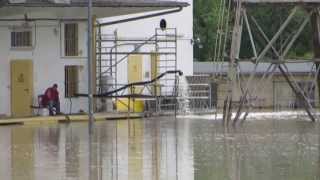 Jahrhundert Hochwasser Wien Hafen Albern 05062013 [upl. by Ettereve]