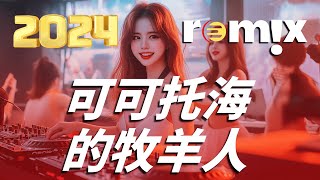 可可托海的牧羊人  王琪【DJ REMIX】『我站在可可托海的湖边，想起你柔情的眼。』【動態歌詞Lyrics】Chinese Dj Remix 2024 [upl. by Anwahsiek]