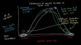 Microevolution and Macroevolution [upl. by Zeb]