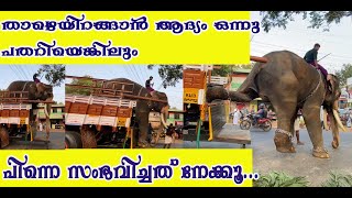 Kerala Elephant Mass Entry  Ithithanam Vishnu Narayanan [upl. by Fondea]