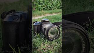 Canon 200D with 55250mm photography Camera dslr canon photography nature shortvideo [upl. by Cheffetz549]