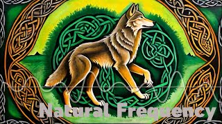 Native Celtic Flute Music  The Wolf [upl. by Laerdna465]