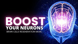 Neurogenesis  Build Up New Brain Cells  Boost Your Neurons  Brain Cells Regeneration Music528Hz [upl. by Karine126]